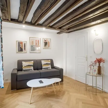 Typical Parisian Studio# Chatelet-les Halles Appartement